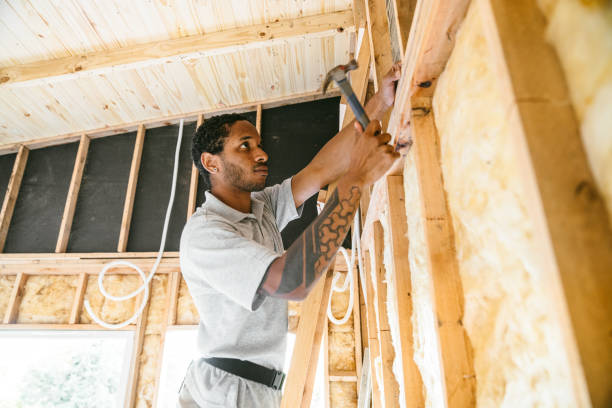 Best Crawl Space Insulation  in New Market, VA