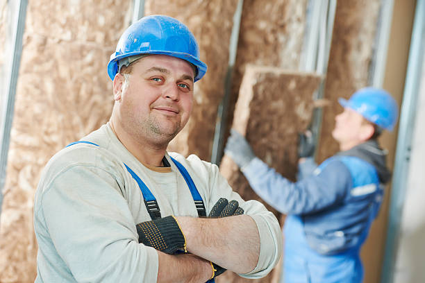 Best Insulation for Existing Homes  in New Market, VA